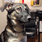 Kali